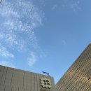 아이콘호텔 | 내돈내산 홍콩 침사추이숙소 호텔 아이콘(Hotel ICON) 부분 하버뷰 수영장 조식 후기