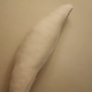 키드베베 이미지