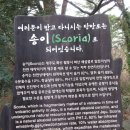 비자곰 이미지