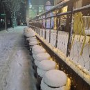 하얀천국 이미지