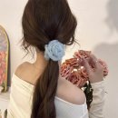 Y&헤어 이미지