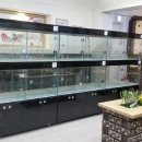 리얼허브애견카페 이미지