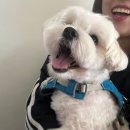 투다리맘모스점 | 2025.09.28~10.07