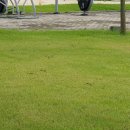 충주라바랜드 이미지