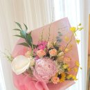 신월동213 이미지