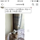 도담 이미지