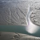 '한국의 갯벌' ..우리나라 두 번째 유네스코 자연유산 탄생 이미지