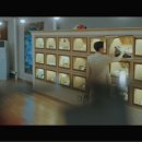 펫바라기 이미지