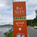 김복란컨설팅