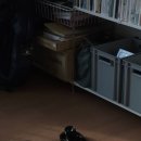 치산돌담모과마을 | 랜도너 타고 반나절 여행기