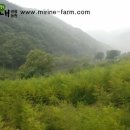 소유농원 이미지