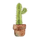 플레이팅 도마 페인팅 이미지