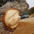 우림농원 이미지