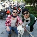 지인 Daum카페