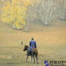 우리들의 아름다운 예술 이미지