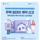 주택 임대차 신고 계도기간이 1년 더 연장됨을 안내 합니다. 이미지