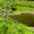 구수골농장 이미지