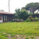 평대 모살코지 이미지