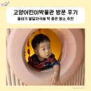 고양어린이박물관 | 돌아기 발달 자극에 딱! 고양어린이박물관 방문 후기