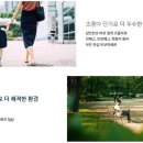 인천시청역(2호선) 이미지