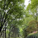 관악산 무장애숲길 | 🌿서울 관악산 나들이 완벽 정리｜무장애 숲길·자운암 능선·서울대 미술관·맛집 총집합!