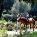 세중농장 이미지