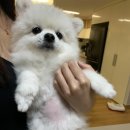 수호동물병원 이미지