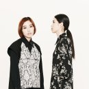 스프링크로커스