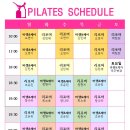 헬스보이짐대전 이미지