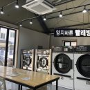 양지바른빨래방 이미지