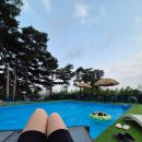 삐꼴로까사 독채펜션 | [삐꼴로까사] 505호 내돈내산 숙박 후기 강릉 수영장 독채펜션 추천