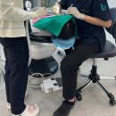 본플란트치과의원 | [일산사랑니발치 고양본플란트치과]사랑니 발치후기