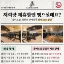 올바로짐 이미지