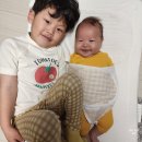 아기 머미쿨쿨베드로 통잠재우기 성공 후기