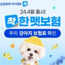 착한장례