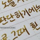 썬타바코