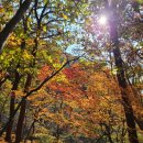 완주군 연석산 산행, 등산코스 : 연석산 주차장 - 마당바위 - 연석산(정상) - 중봉 - 연석산 가든...