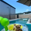 경주 스테이 스텐빌 이미지