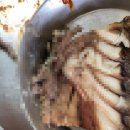 하이고래 이미지