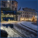 하이원레지던스 | 정선 하이원 팰리스 호텔부터 가성비 숙소까지 위치별 장점과 객실 타입 상세 분석