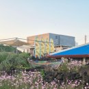 피어하우스바다(PEERHAUS) | 제주 구좌읍 월정리해수욕장 산책, 초밥 맛집 초밥공장 포장 후기