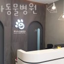 바나나 동물병원 이미지