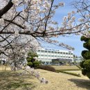 동해시-43 이미지