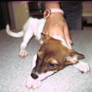 인왕유치원 이미지