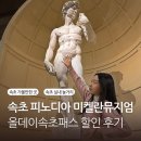 속초 실내 놀거리 피노디아 미켈란젤로뮤지엄 올데이속초패스 할인 후기