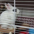 원칸통상 이미지