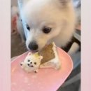 마닐마닐 이미지