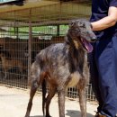 대구농장 이미지