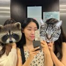 네일노니 이미지