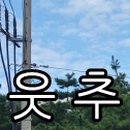 백두산자수정사우나 이미지